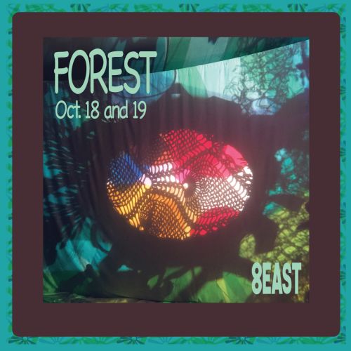 FOREST in green text above a glowing red, yellow, blue, and white orb sitting in a forest backdrop