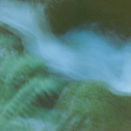 a blurry long exposed forest image and river 