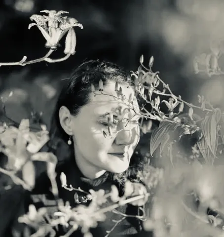 bahar behind some blooming plants